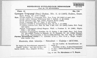 Image Associated With the Occurence